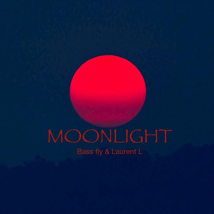 Bass Fly & Laurent L - Moonlight [2020]